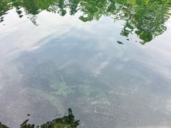 -石台牯牛降景区