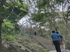 -紫金山山顶公园
