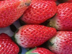 -杜六房(大沽路店)