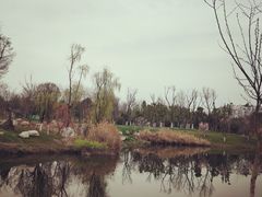 -白鹭湾湿地公园