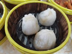 潮汕粉果-肥佬夜茶(早茶·西乡店)