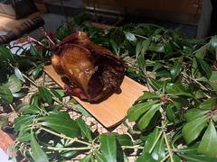 -蝶舍·MAISON PAPILLON