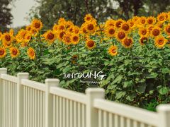 -花开海上生态园