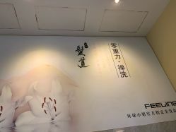 -黛蓝形象定制
