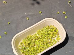 -豆舞咖啡(民乐路店)