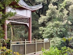 -广州市帽峰山景区