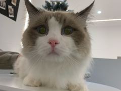 -comecome来吧宠物(奥克斯中心店)