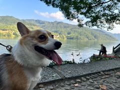 -严子陵钓台(富春江小三峡)