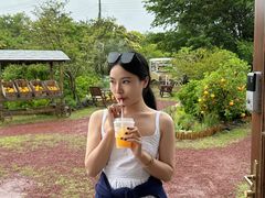 -柑橘农场