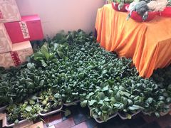 -山东八大碗山东老字号