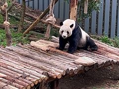 -黔灵山公园