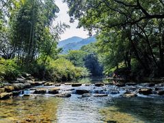 -北仑森林植物园