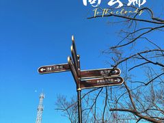-紫金山山顶公园