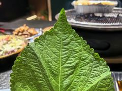-炭虎烤肉(桂林路店)
