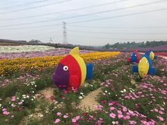 -紫颐香薰山谷景区