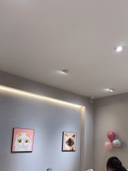 -洗脸猫·洗脸吧