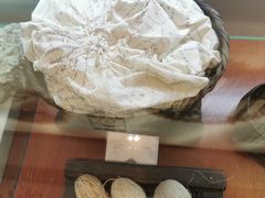 -璞真扎染博物馆