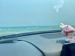 -东郊椰林