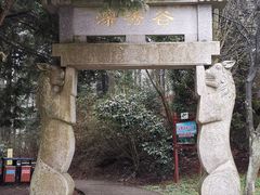 -四明山国家森林公园