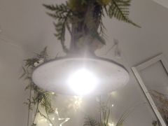 -春树下·树屋花房西餐厅(罍街AS1980店)