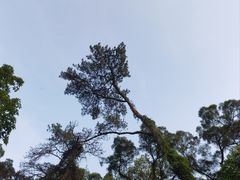 -飞凤山奥体公园
