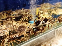 -圣罗巴海鲜自助(黑金店)