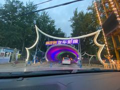 -枫花园汽车电影院(朝阳公园店)