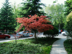 android_upload_pic-陕西师范大学(雁塔校区)