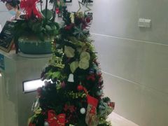 -茂菊口腔连锁(浦东南路店)