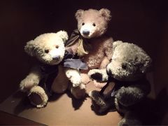 泰迪熊博物馆-济州岛泰迪熊博物馆