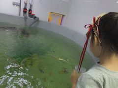 -沈阳海洋探索中心