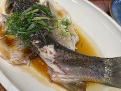 清蒸水库鲩鱼-丰圆轩粤式茶楼 . 点心粤菜(夏茅店)