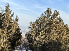 -北京西山国家森林公园