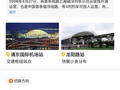 -龙阳路磁悬浮列车总站-停车场