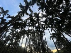 -七仙岭温泉国家森林公园