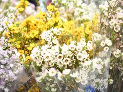 -循礼门鲜花花市(武汉循礼门店)