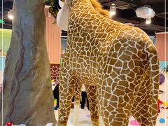 -成都浩海立方海洋公园