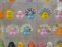 -凯德MALL(望京店)