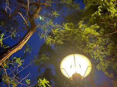 -青岛中山公园-索道售票处