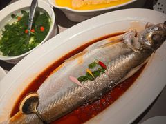 -醉庐·新上海菜(南京西路店)