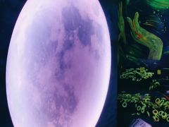 -天津梵高星空艺术馆(天河城旗舰店)