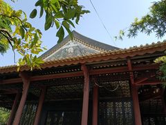 -顺峰山公园