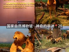 -国家自然博物馆
