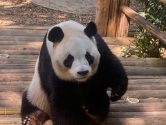 -深圳野生动物园