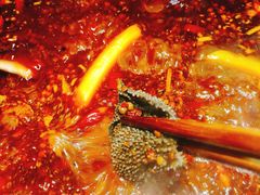 -红鼎坊·老成都火锅(新南门店)