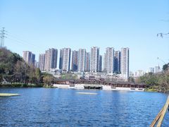 -重庆彩云湖湿地公园