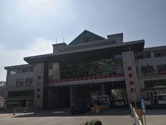 -打洛口岸
