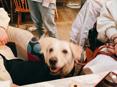 -the rug 飞毯 (朝阳公园店)