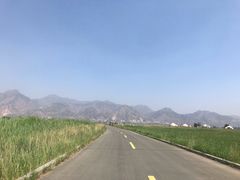 -哈素海