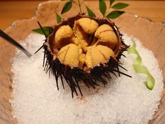 -旨味Umami_融合料理(万博汇店)
